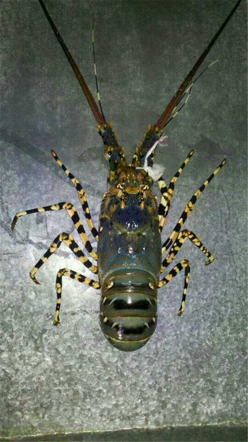 bob娱乐体育官方入口