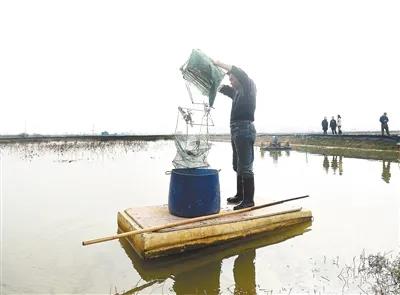 bob娱乐体育官方入口:国产3视频在线在线免费 MBA智库